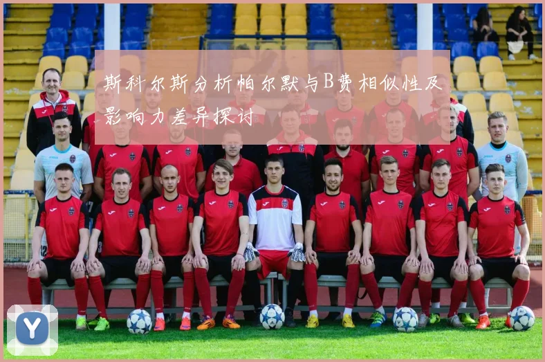 斯科尔斯分析帕尔默与B费相似性及影响力差异探讨